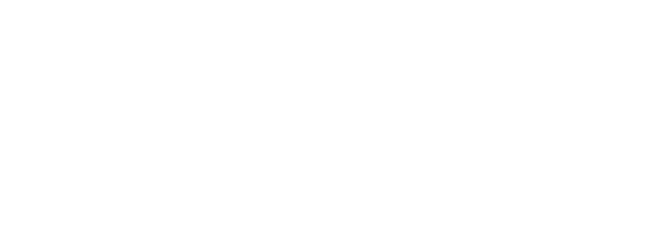 Voe com Pontos